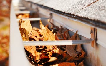 Grove Town gutter cleaning companies
